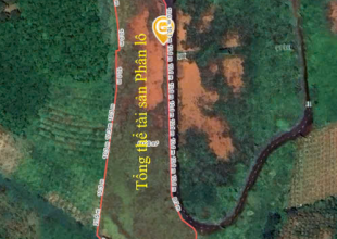 Bán nguyên lô, không tách rời Quyền sử dụng đất thuộc các thửa đất số 246, 247, 249, 251, 252, 253, 254, 255, 256, 257 cùng tờ bản đồ số 05 tại xã Lộc An, huyện Bảo Lâm, tỉnh Lâm Đồng (nay là xã Bảo Lâm 2, tỉnh Lâm Đồng)