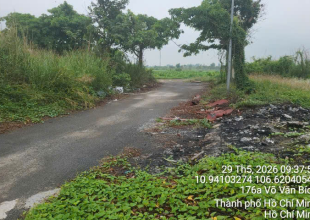 Quyền sử dụng đất và tài sản khác gắn liền với đất thuộc thửa đất số 817, tờ bản đồ số 30 tại xã Bình Mỹ, huyện Củ Chi, Thành phố Hồ Chí Minh (nay là xã Bình Mỹ, Thành phố Hồ Chí Minh)