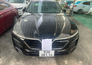 01 xe ô tô con; Nhãn hiệu: VINFAST; Số loại: LUX A2.0; BKS: 93A-281.14; 05 chỗ ngồi; Màu Đen; Số khung: RPXAB1RSFMV005370, Số máy: 211320050VF20SED theo Giấy chứng nhận đăng ký xe ô tô số 93 007381 