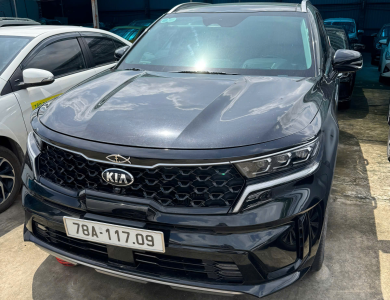 01 xe ô tô con; Nhãn hiệu: KIA; Số loại: SORENTO MQ4; BKS: 78A-117.09; 06 chỗ ngồi; Màu Đen; Số khung: RNYRJ52D8MC211816, Số máy: D4HELH265951 theo Giấy chứng nhận đăng ký xe ô tô số 78 004726 do Phòng Cảnh sát giao thông, Công an tỉnh Phú Yên cấp ngày 14/12/2021 đứng tên Trần Thị Hoa