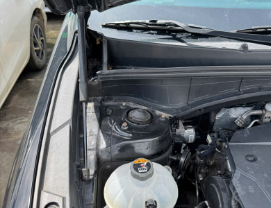01 xe ô tô con; Nhãn hiệu: KIA; Số loại: SORENTO MQ4; BKS: 78A-117.09; 06 chỗ ngồi; Màu Đen; Số khung: RNYRJ52D8MC211816, Số máy: D4HELH265951 theo Giấy chứng nhận đăng ký xe ô tô số 78 004726 do Phòng Cảnh sát giao thông, Công an tỉnh Phú Yên cấp ngày 14/12/2021 đứng tên Trần Thị Hoa