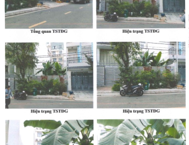 (Lần 3) Quyền sử dụng đất thuộc thửa đất số 366, tờ bản đồ số 80 tại xã Bình Hưng, huyện Bình Chánh, thành phố Hồ Chí Minh (nay là xã Bình Hưng, thành phố Hồ Chí Minh)