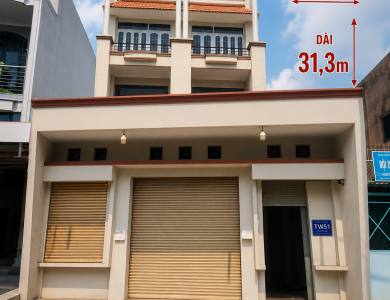 Quyền sử dụng đất và quyền sở hữu nhà ở thuộc thửa đất số 731, tờ bản đồ số 4 (SĐN) - Tân Xuân tại địa chỉ 163/1 Bis, QL22, Ấp Trung Chánh, xã Tân Xuân, huyện Hóc Môn, Thành phố Hồ Chí Minh (nay là xã Hóc Môn, Thành phố Hồ Chí Minh).