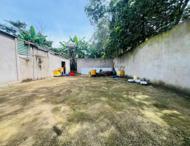 [Lần 8] Quyền sử dụng đất tại thửa đất số 374, tờ bản đồ số: 37, địa chỉ: xã Hoà Bình, huyện Xuyên Mộc, tỉnh Bà Rịa – Vũng Tàu (nay là xã Hoà Hội, Thành phố Hồ Chí Minh)