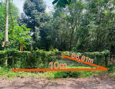 [Lần 8] Quyền sử dụng đất tại thửa đất số 374, tờ bản đồ số: 37, địa chỉ: xã Hoà Bình, huyện Xuyên Mộc, tỉnh Bà Rịa – Vũng Tàu (nay là xã Hoà Hội, Thành phố Hồ Chí Minh)