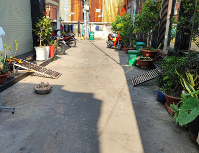 Quyền sử dụng đất và tài sản khác gắn liền với đất thuộc thửa đất số 714, tờ bản đồ số 33, tại địa chỉ 177/16 Phan Văn Hớn, Phường Đông Hưng Thuận, Thành phố Hồ Chí Minh