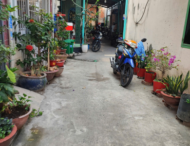 Quyền sử dụng đất và tài sản khác gắn liền với đất thuộc thửa đất số 714, tờ bản đồ số 33, tại địa chỉ 177/16 Phan Văn Hớn, Phường Đông Hưng Thuận, Thành phố Hồ Chí Minh