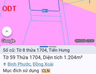 Quyền sử dụng đất thuộc thửa đất số 1704, tờ bản đồ số 8 tại địa chỉ Ấp 1, xã Tiến Hưng, thành phố Đồng Xoài, tỉnh Bình Phước (nay là phường Bình Phước, thành phố Đồng Nai).