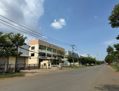 Quyền sử dụng đất, quyền sở hữu nhà ở và tài sản khác gắn liền với đất thuộc thửa đất số 241, tờ bản đồ số 53 (theo tài liệu năm 2005) tại địa chỉ Lô số 1A, Đường số 1A, Khu Công nghiệp Tân Tạo, Phường Tân Tạo A, Quận Bình Tân, TP. Hồ Chí Minh