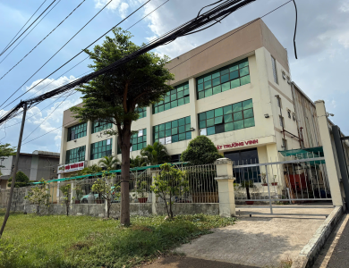 Quyền sử dụng đất, quyền sở hữu nhà ở và tài sản khác gắn liền với đất thuộc thửa đất số 241, tờ bản đồ số 53 (theo tài liệu năm 2005) tại địa chỉ Lô số 1A, Đường số 1A, Khu Công nghiệp Tân Tạo, Phường Tân Tạo A, Quận Bình Tân, TP. Hồ Chí Minh