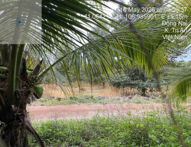 Quyền sử dụng đất thuộc thửa đất số 74 cùng tờ bản đồ 16 tại xã Trị An, huyện Vĩnh Cửu, tỉnh Đồng Nai (nay là phường Trị An, Thành phố Đồng Nai) -589