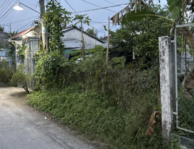 Quyền sử dụng đất thuộc thửa đất số 1576, tờ bản đồ số: 4; địa chỉ: Khu vực Khánh Hưng, Phường Phú Thứ, Quận Cái Răng, Thành phố Cần Thơ (nay là phường Hưng Phú, Thành phố Cần Thơ) 
