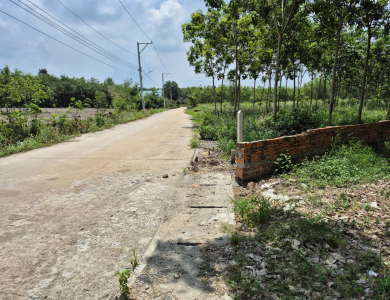 Quyền sử dụng đất thuộc thửa đất số 303, tờ bản đồ số 16, địa chỉ: xã Tân Lập, huyện Bắc Tân Uyên, tỉnh Bình Dương (nay là phường Tân Uyên, Thành phố Hồ Chí Minh) 