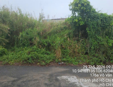 Quyền sử dụng đất và tài sản khác gắn liền với đất thuộc thửa đất số 817, tờ bản đồ số 30 tại xã Bình Mỹ, huyện Củ Chi, Thành phố Hồ Chí Minh (nay là xã Bình Mỹ, Thành phố Hồ Chí Minh)