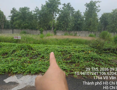 Quyền sử dụng đất và tài sản khác gắn liền với đất thuộc thửa đất số 817, tờ bản đồ số 30 tại xã Bình Mỹ, huyện Củ Chi, Thành phố Hồ Chí Minh (nay là xã Bình Mỹ, Thành phố Hồ Chí Minh)