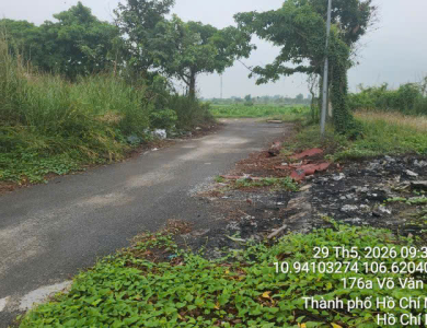 Quyền sử dụng đất và tài sản khác gắn liền với đất thuộc thửa đất số 817, tờ bản đồ số 30 tại xã Bình Mỹ, huyện Củ Chi, Thành phố Hồ Chí Minh (nay là xã Bình Mỹ, Thành phố Hồ Chí Minh)
